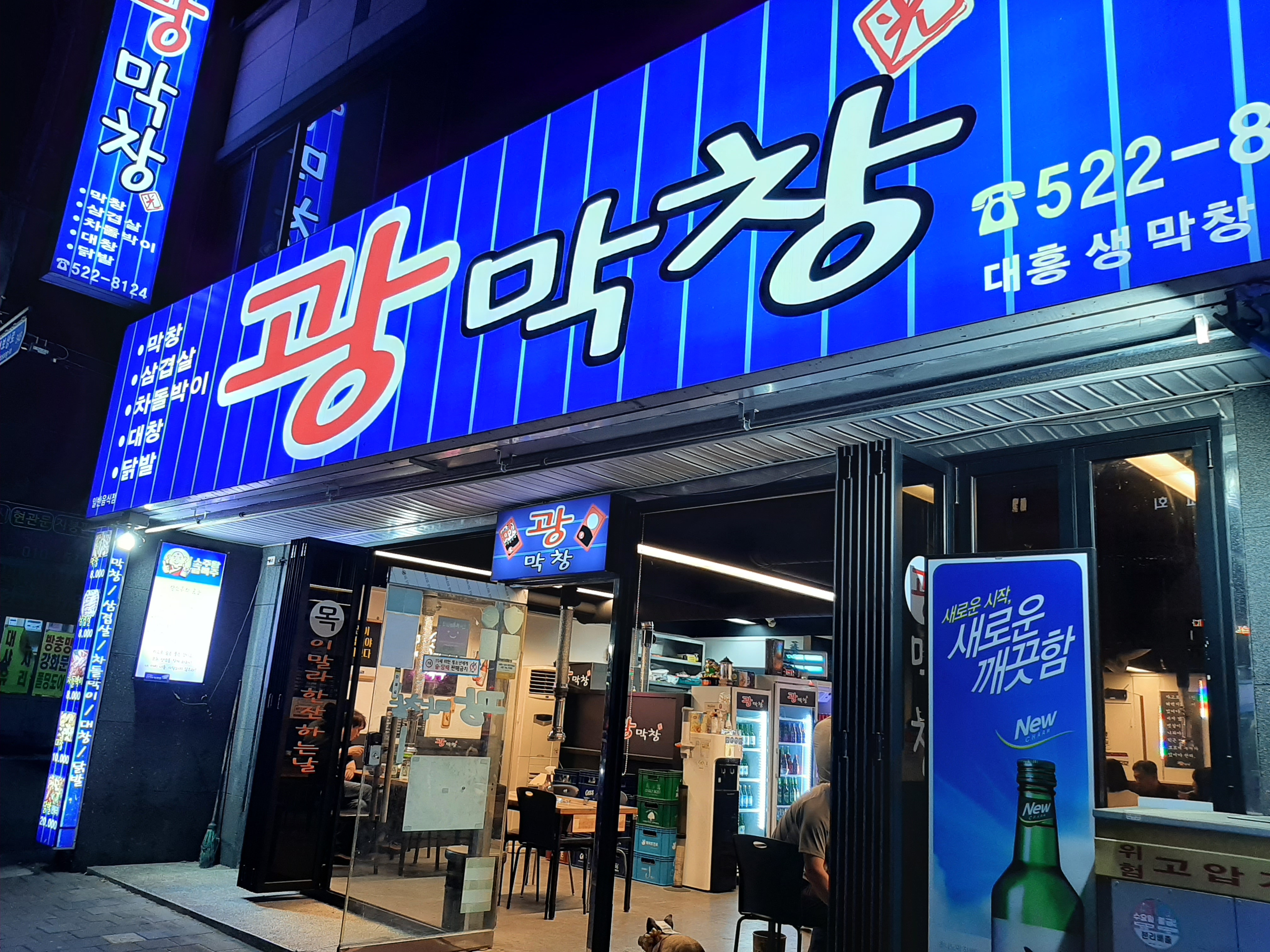 광막창 5
