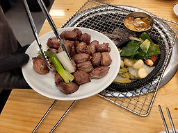을지갈매기 사진 6