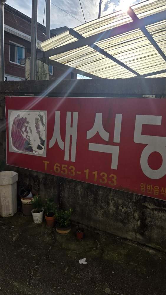 새식당 2