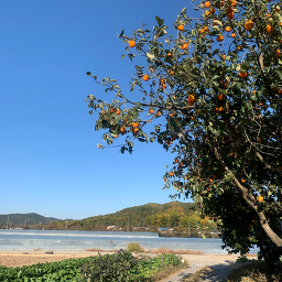 Oettanjip (외딴집) 2