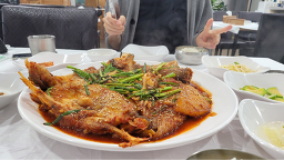 코다리조림 바다축제 6