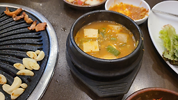 낙동생오리 1