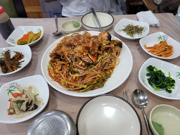 버드나무집 1