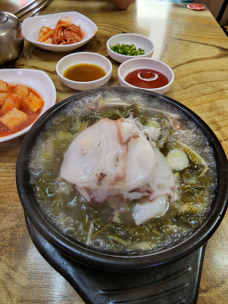 속초문어국밥 4