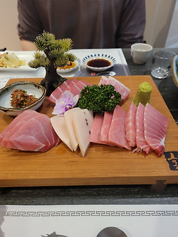 혼참치 1