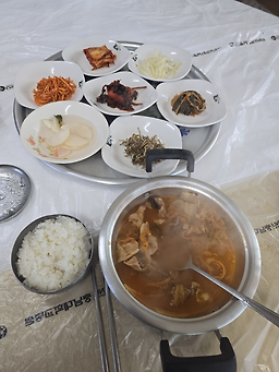 Hyangmi (향미) 2