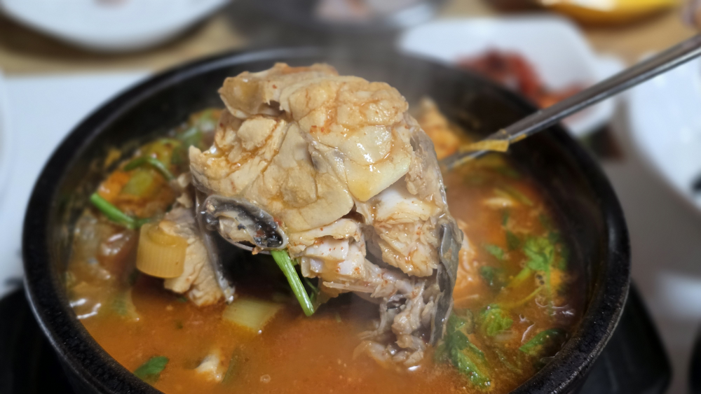 동락일식 6