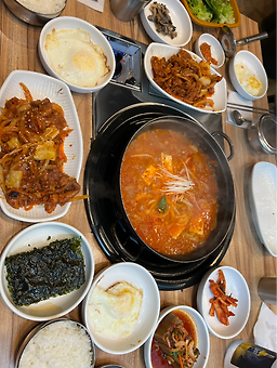 진짜돼지 사진 4