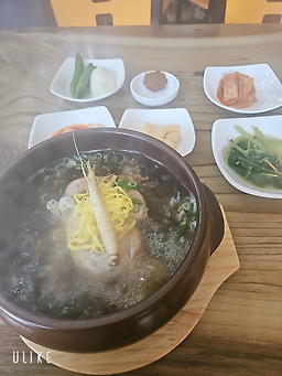 약초삼계탕 5