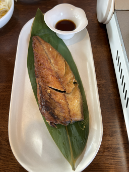 동양백반 3