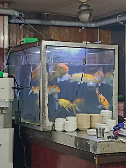 오구반점 사진 7