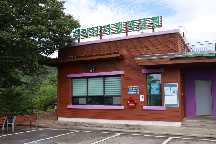 설악산자생식물원 3