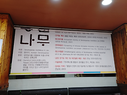 Jinmihwangchilsundaeguk 4