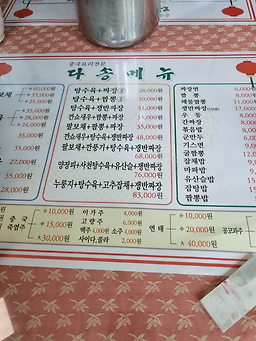 다송 5
