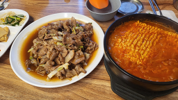 발바리네 사진 4
