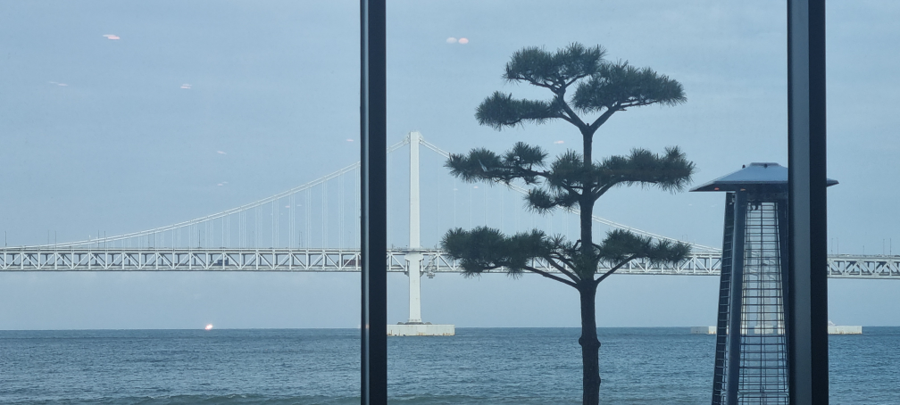 게스후 레스토랑 4