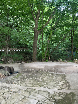 김용운달식당 6