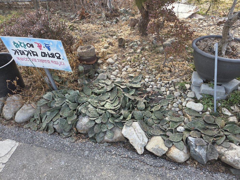 Yennalchangpyeonggukbap (옛날창평국밥) 2