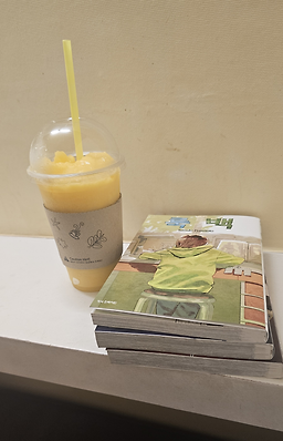 랩툰