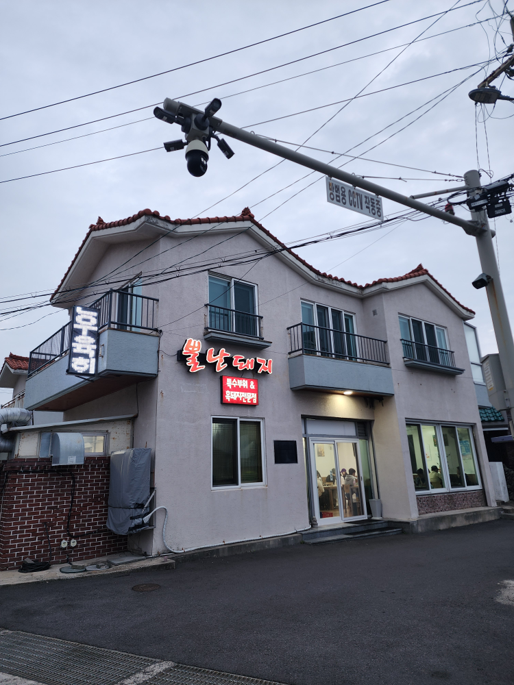 뿔난돼지 사진 3