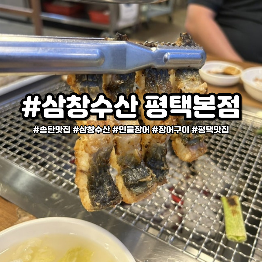 Samchang 5