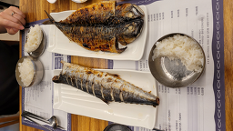 물고기자리 사진 8