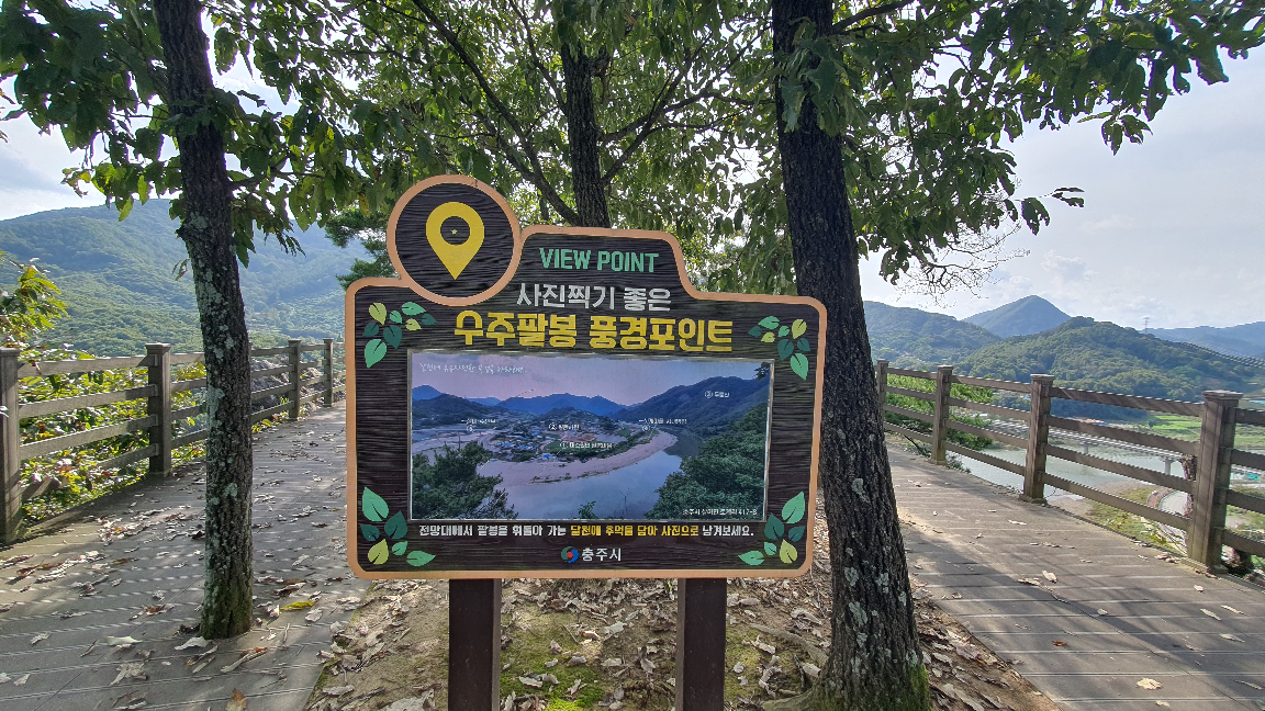 Palbongkongbat 6