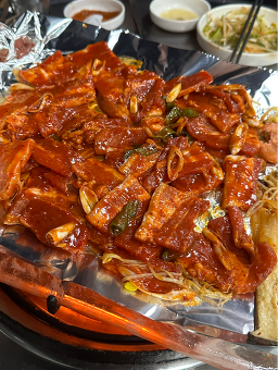 Ttukkeongyeollindwaeji 2