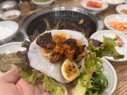Jinhyanggalbi 4
