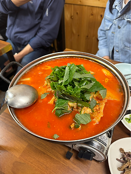 돌빌레 사진 2