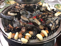 정가네오골계선생 1