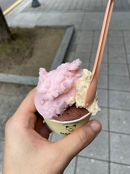 다녹 사진 8