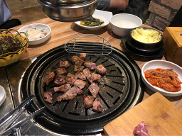 진짜돼지 사진 6