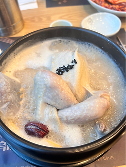 지호한방삼계탕속초점 4