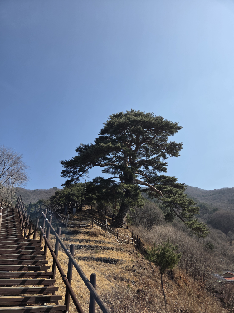 부부식당 4