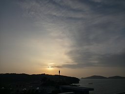 바이더오 6