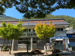 Hanobaengnyeon 5