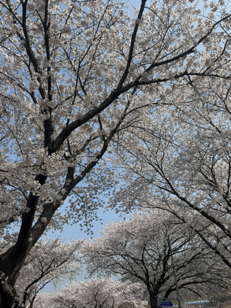 Gohyanggadeun (고향가든) 1