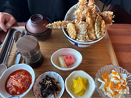 료리야 사진 6