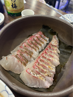 코미도리 사진 7