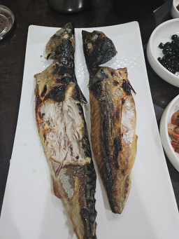 어다미 사진 7