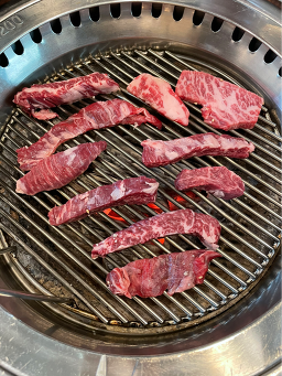 벽오동 1