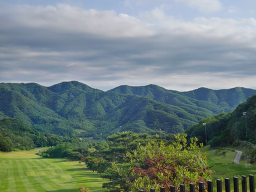 산수유 2