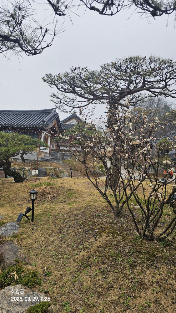 혜경궁베이커리 5