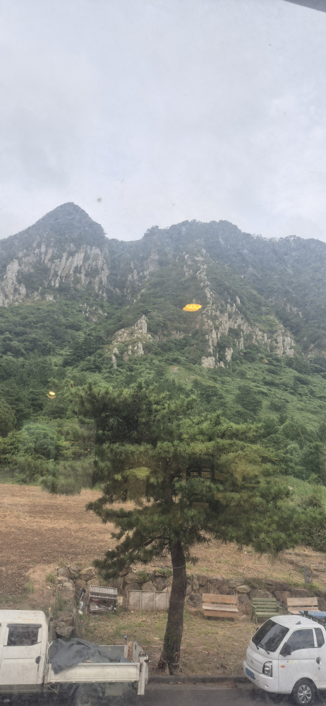 무한냉삼 사진 2