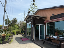 메밀꽃제주 사진 2