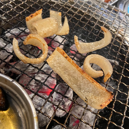 제주청정돼지 사진 2