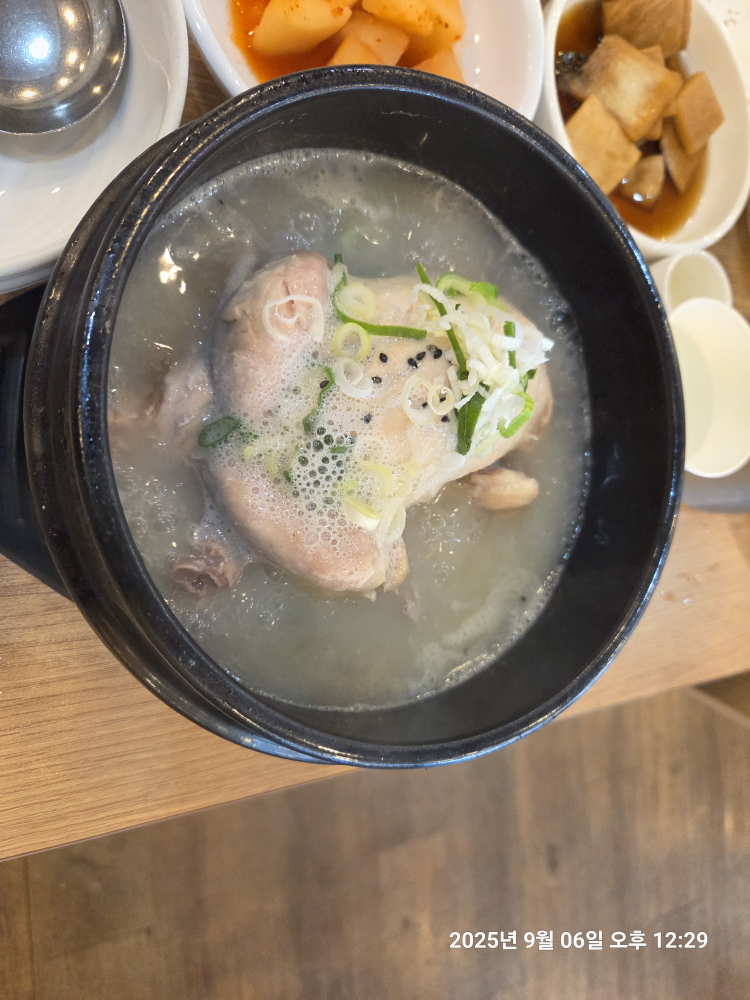 닭올닭 6