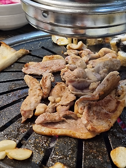 그린하우스 1