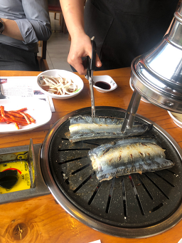 등대장어 3